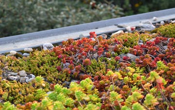 the cost of Ashley Park green roof installation