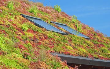 Ashley Park living roof systems